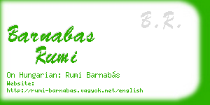 barnabas rumi business card